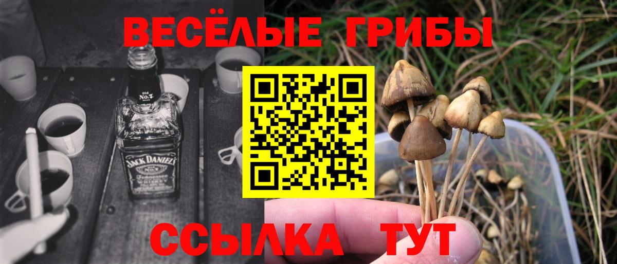 где купить   Вход с VPN  Прокопьевск  Галлюциногенные грибы Magic Shrooms 
